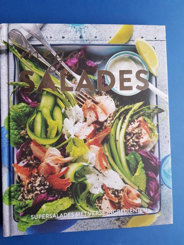 Mega Salades - Lantaarn Publishers, Boeken, Kookboeken, Zo goed als nieuw, Italië, Vegetarisch, Verzenden