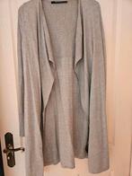 Mooi lichtgrijs vest van expresso maat L, Kleding | Dames, Ophalen of Verzenden, Zo goed als nieuw, Grijs