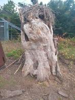 mooie holle willig stam 2 M hoog en 1 m  diameter holle boom, Ophalen of Verzenden, Zo goed als nieuw