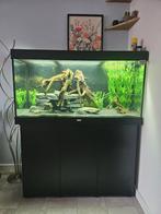 Juwel Aquarium Rio 300, Ophalen, Gebruikt, Leeg aquarium