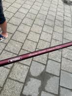 mitchell power gross catfish 300 (meerval hengel), Watersport en Boten, Hengelsport | Roofvissen, Ophalen, Zo goed als nieuw, Werphengel