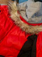 Icepeak Ski Jas Dames Maat 42, Kleding | Dames, Wintersportkleding, Icepeak, Maat 42/44 (L), Ophalen of Verzenden, Zo goed als nieuw