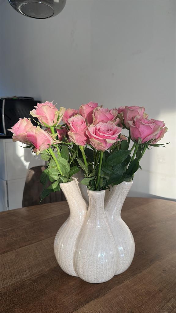 Huishoudelijke hulp, Diensten en Vakmensen, Huishoudelijke hulp, Koken, Schoonmaken, Strijken, Wassen