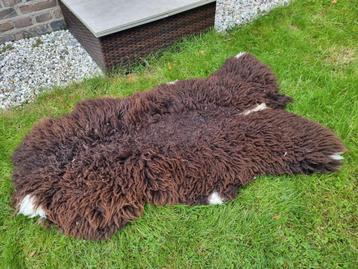 Schitterend vol schapenvacht! Schaap schapen vacht vachten   beschikbaar voor biedingen