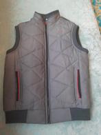 Gucci Bodywarmer - Maat S & M - Nieuw!, Nieuw, Ophalen of Verzenden, Gucci, Grijs