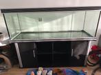 Trofis aquarium 180cm GRATIS, Ophalen, Gebruikt, Leeg aquarium