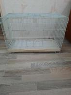 Vogelkooi, Ophalen, Gebruikt, Metaal, Vogelkooi