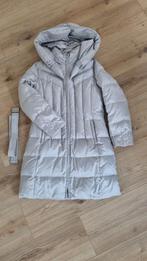 Donzen jas Zilverkleur, Kleding | Dames, Jassen | Winter, Ophalen of Verzenden, Zo goed als nieuw, Maat 42/44 (L), Blauw