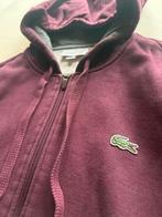 Lacoste vest maat M bordeaux rood met rits en capuchon, Ophalen of Verzenden, Zo goed als nieuw, Rood
