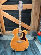 Takamine EG523SC-12 string, Muziek en Instrumenten, Snaarinstrumenten | Gitaren | Akoestisch, Ophalen, Zo goed als nieuw, Western- of Steelstringgitaar