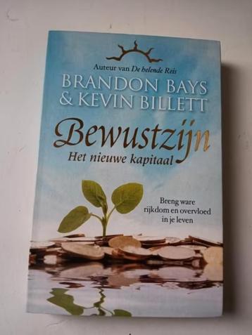 Brandon Bays - Bewustzijn - het nieuwe kapitaal beschikbaar voor biedingen