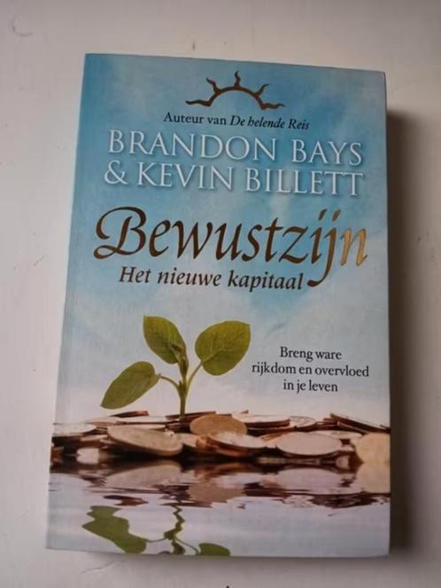 Brandon Bays - Bewustzijn - het nieuwe kapitaal, Boeken, Psychologie, Zo goed als nieuw, Ophalen of Verzenden