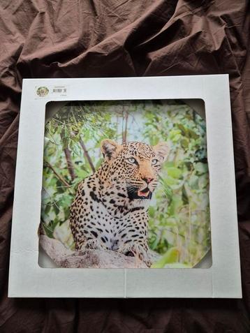 Ronde glasschilderij 40cm luipaard  beschikbaar voor biedingen