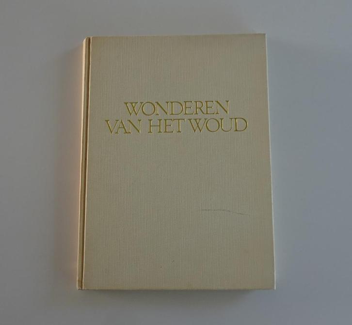Wonderen Van Het Woud - Vintage Informatief Boek 1975, Boeken, Natuur, Zo goed als nieuw, Natuur algemeen, Ophalen