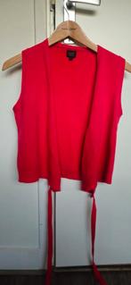 Gilet Pauw, Ophalen of Verzenden, Zo goed als nieuw, Maat 36 (S)
