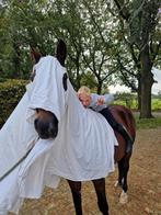 Verzorg / lease pony gezocht, Ophalen of Verzenden