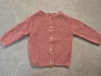 Zo goed als nieuw vestje maat 68, Kinderen en Baby's, Babykleding | Maat 68, Ophalen of Verzenden, Zo goed als nieuw, Meisje, Truitje of Vestje