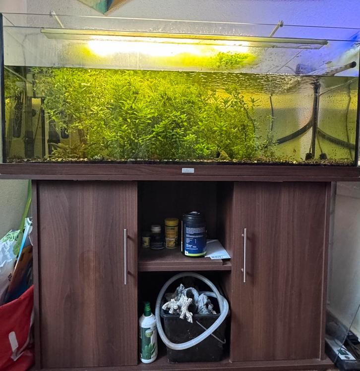 Juwel Rio 240 aquarium met toebehoren, Dieren en Toebehoren, Vissen | Aquaria en Toebehoren, Gevuld zoetwateraquarium, Ophalen