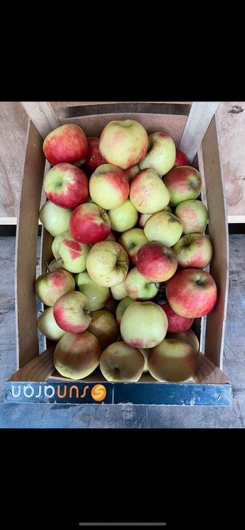 Te koop moesappels beschikbaar voor biedingen