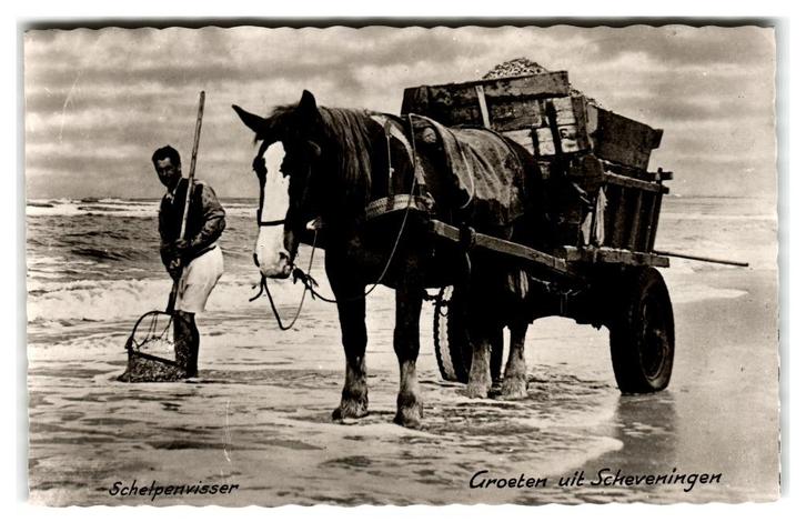Scheveningen, Schelpenvisser, Verzamelen, Ansichtkaarten | Nederland, Ongelopen, Zuid-Holland, 1940 tot 1960, Verzenden