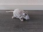 Grote grijze rat knuffel geen label 20 cm zonder staart, Overige typen, Ophalen of Verzenden, Zo goed als nieuw