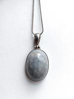 Gefossiliseerde koraal in zilveren hanger, Verzamelen, Mineralen en Fossielen, Ophalen of Verzenden, Fossiel