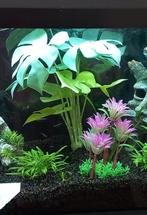 Diverse ornamenten grotjes etc voor aquarium, Dieren en Toebehoren, Ophalen of Verzenden, Plant(en), Steen of Hout