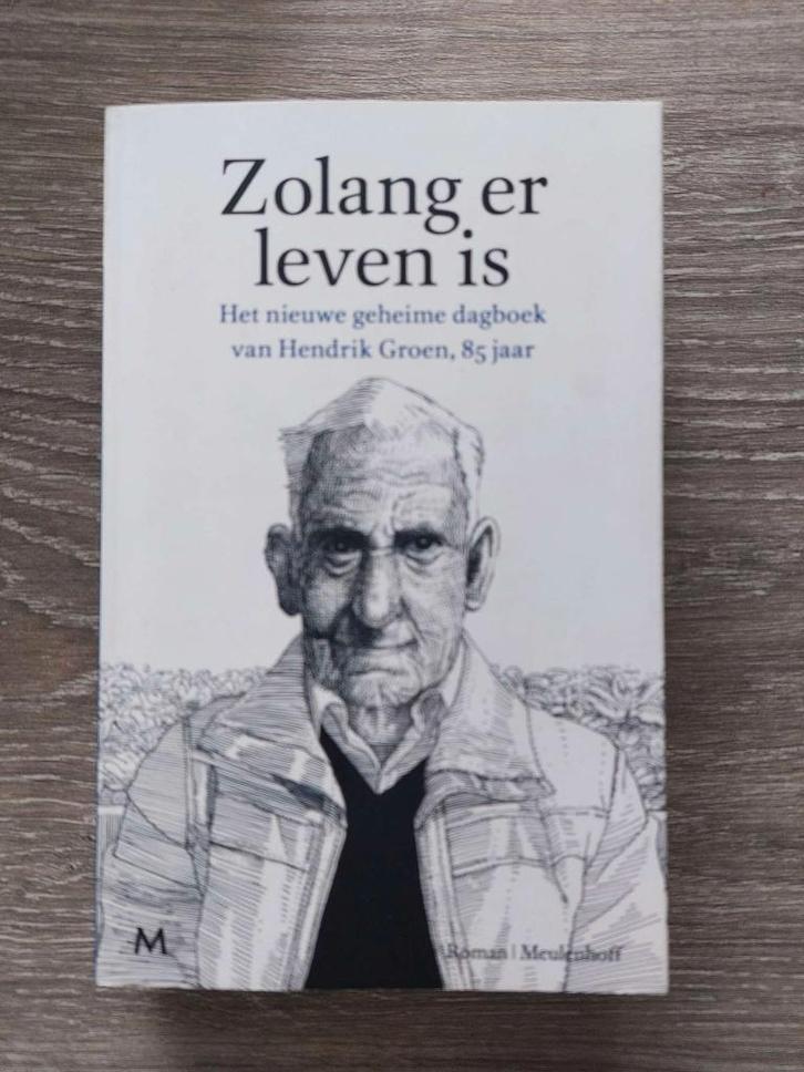 Hendrik Groen - Zolang er leven is - 2016, Boeken, Romans, Zo goed als nieuw, Ophalen of Verzenden