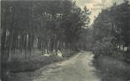 (388-426-033) Hattem Boschkiekje, Verzenden