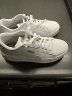 Te koop nieuwe puma's maat 40, Overige merken, L00, Schoenen, Nieuw