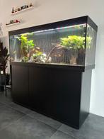 Aquarium Juwel Rio450 LED, Dieren en Toebehoren, Ophalen, Nieuw, Leeg aquarium