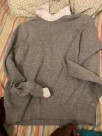 Mooie Trui - Perfect voor de Herfst!, Ophalen of Verzenden, Zo goed als nieuw, Maat 38/40 (M), Grijs