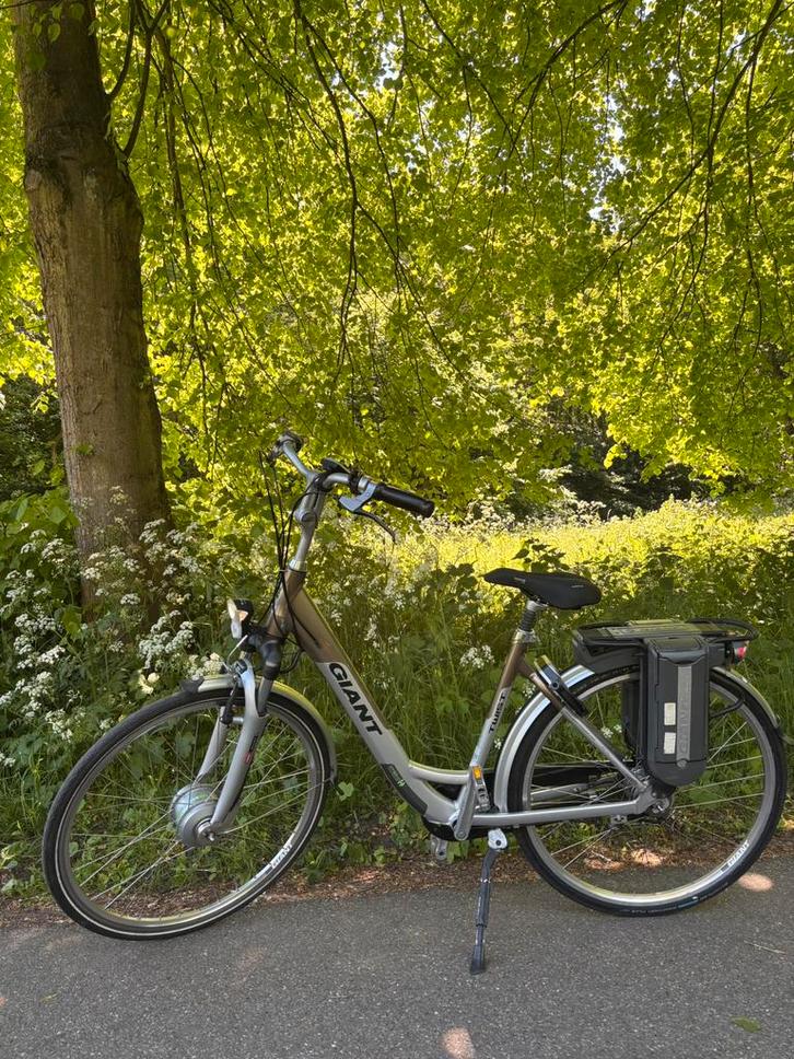 Elektrische Giant Twist Go Double Hybrid, Fietsen en Brommers, Elektrische fietsen, Zo goed als nieuw, Ophalen of Verzenden