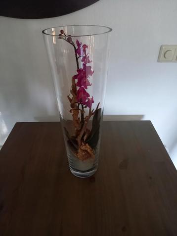 Decoratieve Vaas met Orchidee beschikbaar voor biedingen