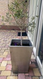 Rvs Bloembak, Tuin en Terras, Gebruikt, Minder dan 60 cm, Vierkant, Ophalen of Verzenden