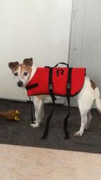 Honden zwemvestje voor op de boot, Dieren en Toebehoren, Hondenkleding, Ophalen, Zo goed als nieuw