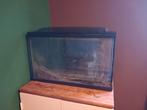 Gratis: oud aquarium, Dieren en Toebehoren, Ophalen, Gebruikt