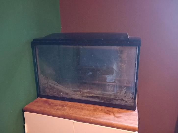 Gratis: oud aquarium, Dieren en Toebehoren, Reptielen en Amfibieën | Toebehoren, Gebruikt, Ophalen