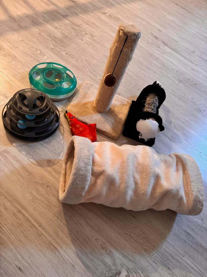 Katten speelgoed, Verzamelen, Dierenverzamelingen, Gebruikt, Beeldje of Figuurtje, Hond of Kat, Ophalen