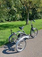 van Raam Balance elektrisch, Ophalen, Zo goed als nieuw