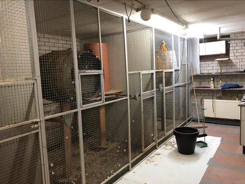 Volière voorfronten  Lantro 3 stuks, Dieren en Toebehoren, Stalling en Weidegang