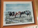 Koeien schilderij Aqarell Ruth Peters, Antiek en Kunst, Kunst | Schilderijen | Abstract, Ophalen of Verzenden