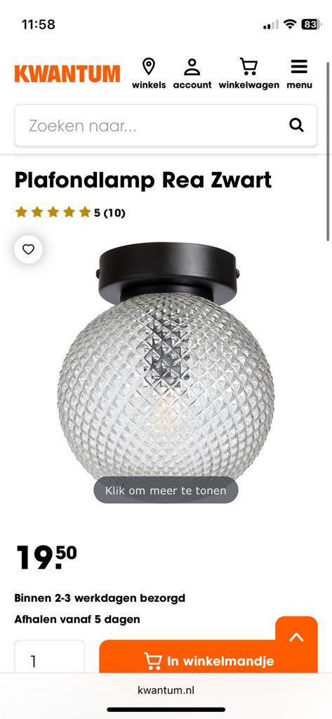 Kwantum verlichting plafondlamp 2 stuks - nieuw, Huis en Inrichting, Lampen | Plafondlampen, Nieuw, Glas, Metaal, Ophalen