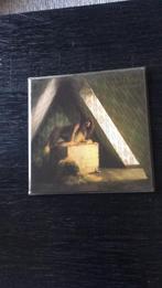 Kate Bush, Ophalen of Verzenden, Gebruikt, 12 inch, Poprock