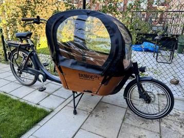 Babboe regentent City beschikbaar voor biedingen