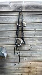 Hoofdstel Kieffer, Dieren en Toebehoren, Paarden en Pony's | Hoofdstellen en Tuigage, Ophalen of Verzenden, Gebruikt, Dressuur