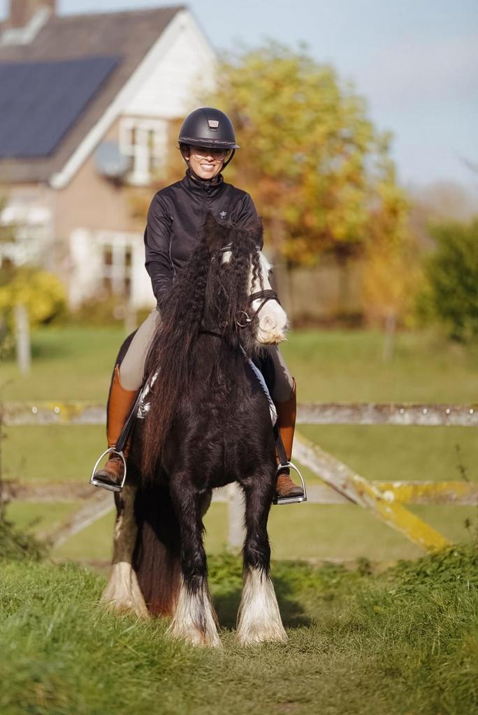 7-jarige mini Tinker merrie - 1.25m, Dieren en Toebehoren, Paarden en Pony's | Verzorgingsproducten, Ophalen