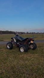 Gereviseerde yamaha raptor 350, Ophalen, Gereviseerd