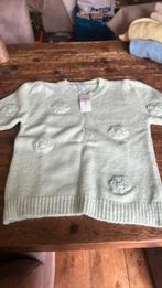 Ambika truien, Ophalen of Verzenden, Nieuw