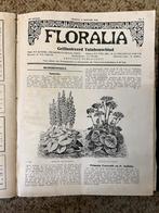 Meerdere Floralia Jaargangen (1923), Ophalen, Gelezen, Overige typen